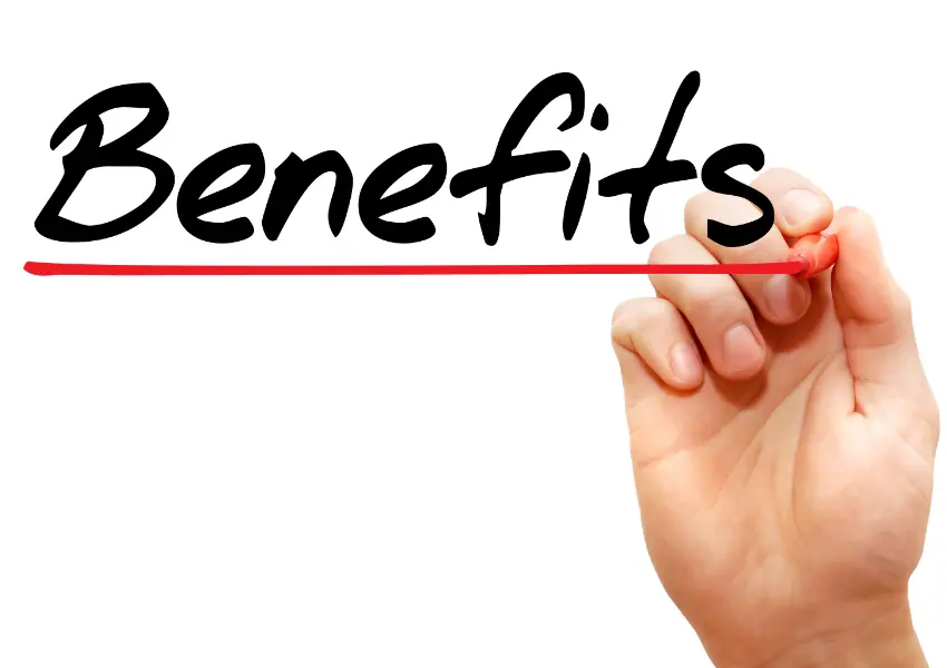 Benefits of Choosing Adelaide Self Storage for Homes and Businesses